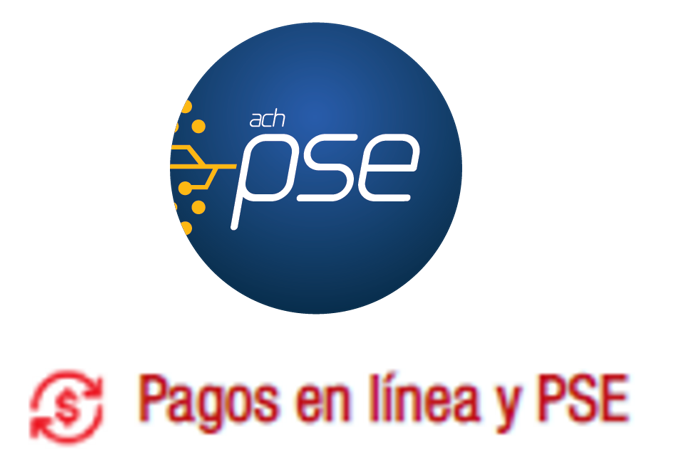 Pagos en linea 5